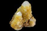 Sunshine Cactus Quartz Crystal Cluster - South Africa #122366-1